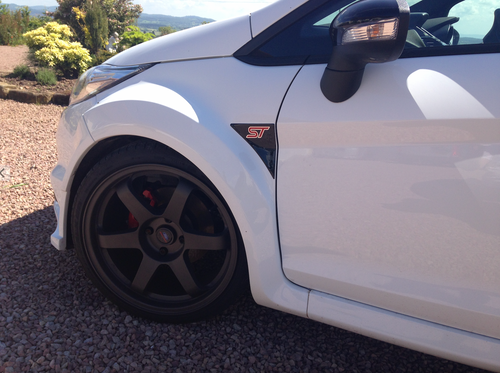 Fiesta Mk7.5 ST Wing GEL Badges - PAIR