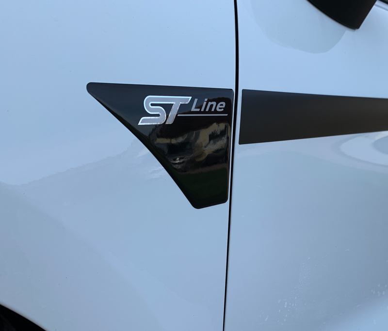 Load image into Gallery viewer, Fiesta Mk8 Mk8.5 ST Line Wing GEL Badges - PAIR
